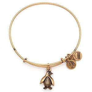 Alex and Ani Penguin Bracelet